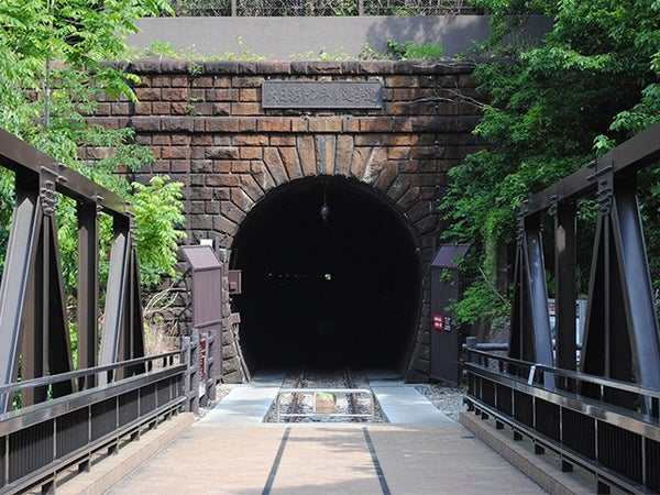 ■【山梨】やまなし春の花日和<桜×菜の花×桃の花>♪旬のいちご狩り&明治の鉄道遺産「大日影トンネル遊歩道」散策3